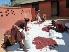 Living Hope Career training