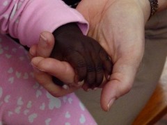 Baby intake center 055